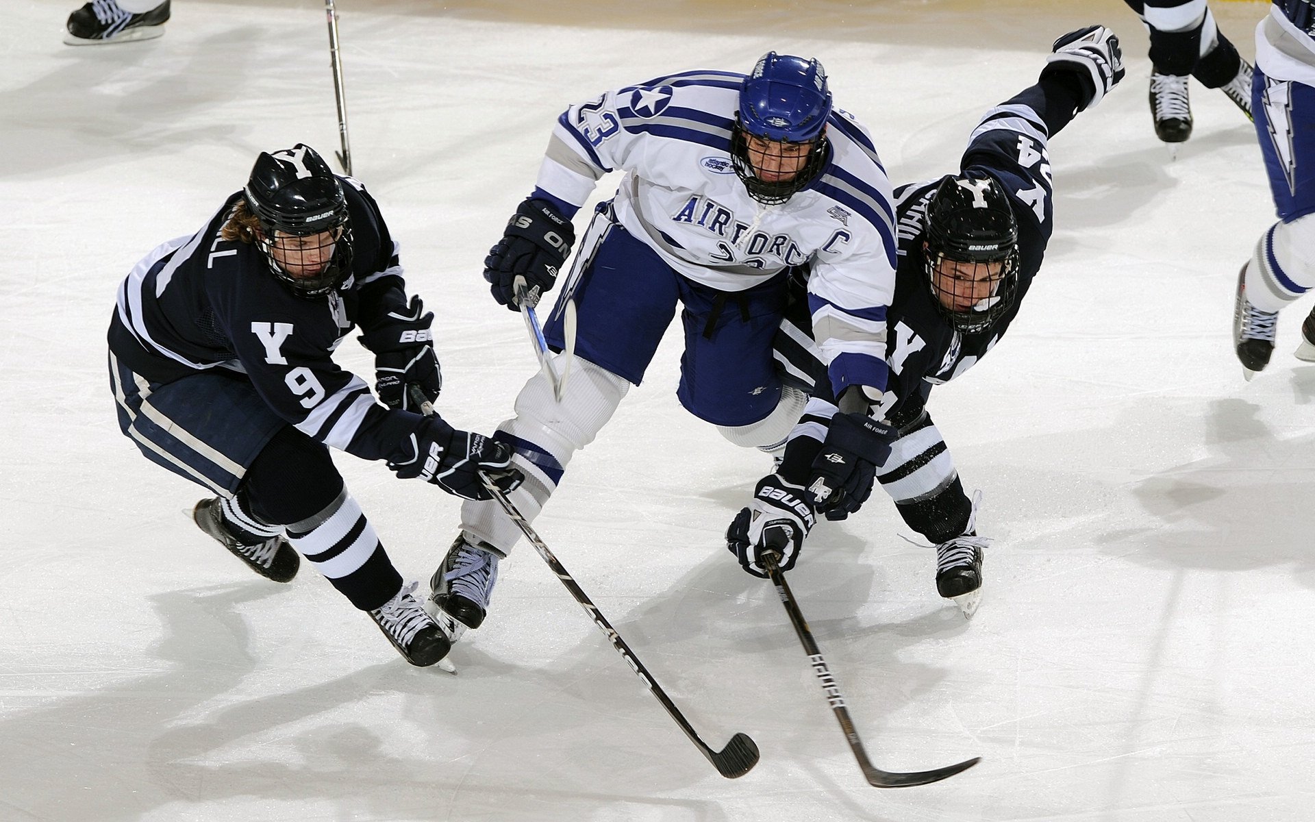 体育新闻中心权威解读专题上线,体育新闻网址大全